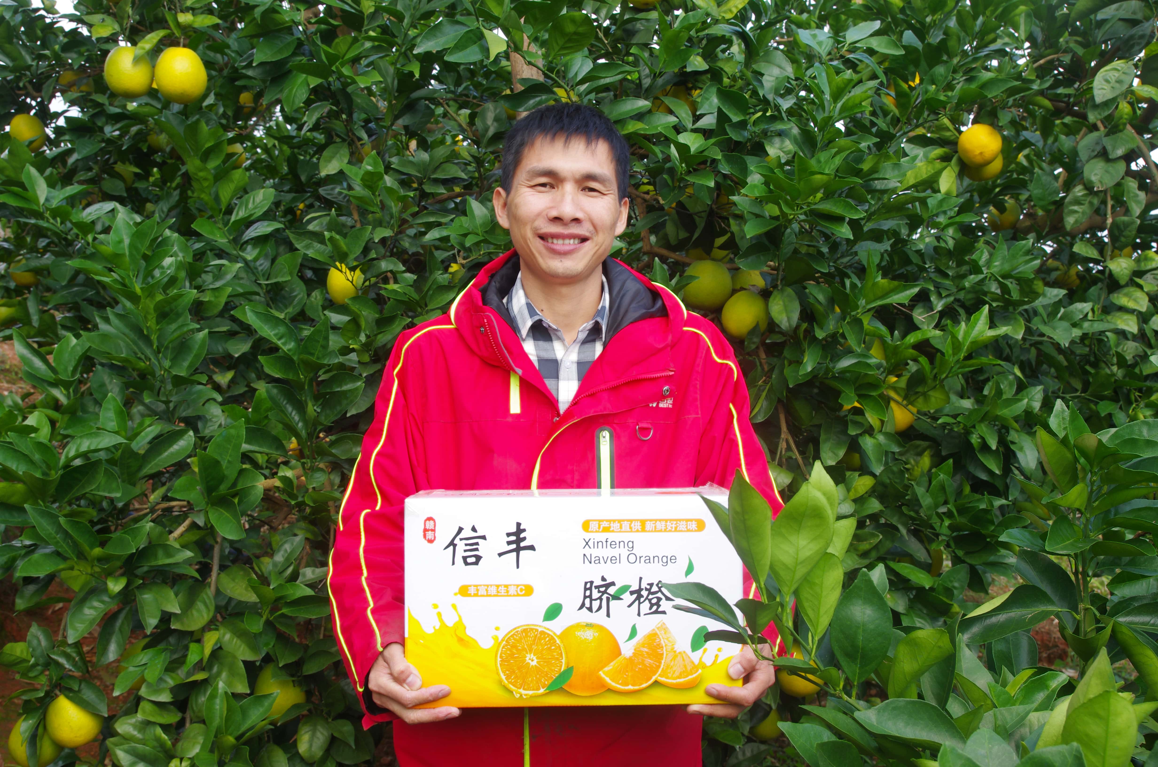宁波寄件